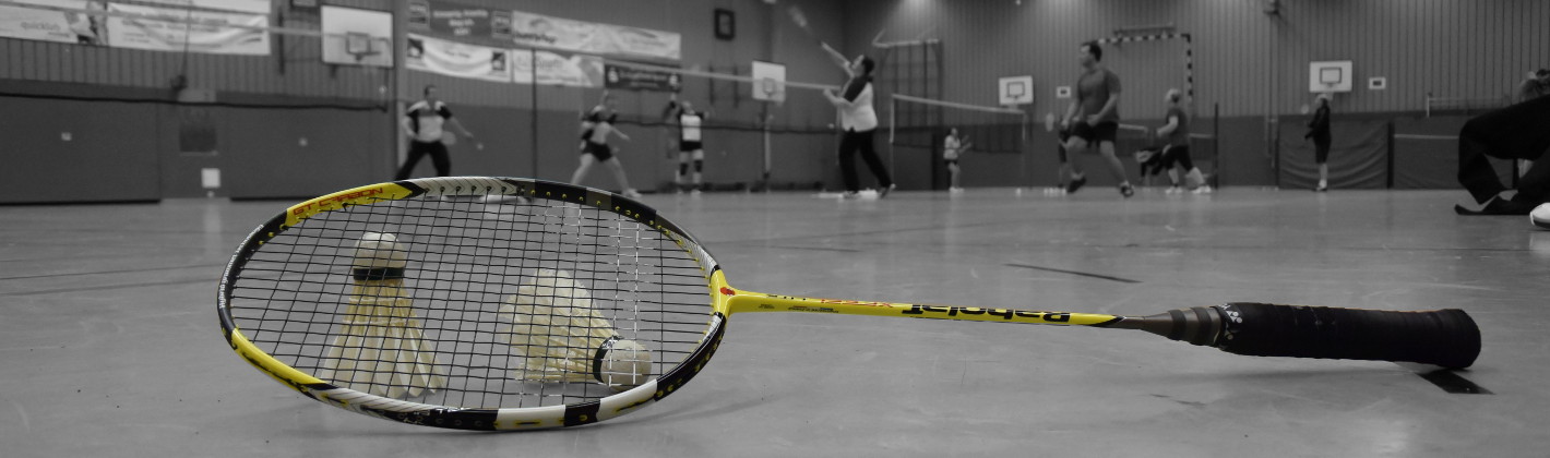 Kopfbild Badminton