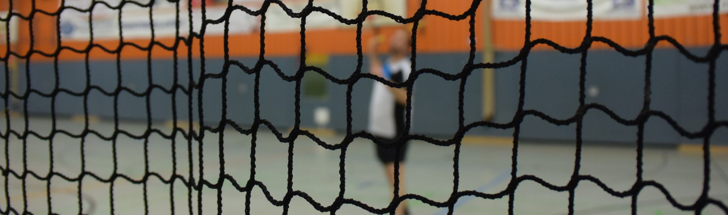 Kopfbild Badminton Netz