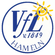 VfL Info Icon Sommer