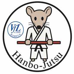 Hanbo Jutsu VfL Hameln Logo