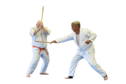 Hanbo Jutsu VfL Hameln Grafik1